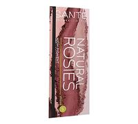 SANTE Naturkosmetik Eyeshadow Palet 02 Rosy Shades - Sombra de ojos vegana con aloe vera orgánico y pigmentos de color natural, tonos rosados brillantes y mate, para ojos naturales y expresivos, 6 x 1