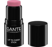 SANTE Naturkosmetik Lip to Cheek Stick 01 Rose - 6 g - Blush natural para mejillas, labios y arco de cejas - colorete difuminable con textura cremosa y ligera - para un acabado fresco y brillo