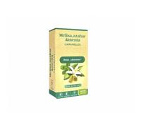 SV CARAM MELISA, AZAHAR Y MENTA 35G CAJA