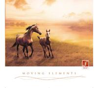 Santec Orchestra - Moving Elements