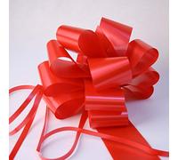 Santex - Lote de 10 lazos automáticos de regalo, 5 cm