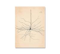 Santiago Ramon Y Cajal Neuron Dibujo Carteles Y Grabados Arte De Pared Retro Santiago Ramon Y Cajal Pintura Lienzo Decoración Del Hogar Cuadro 50x70cm Sin Marco