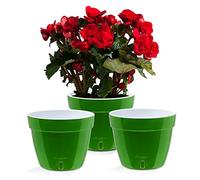 Santino ASTI - Set de 3 Macetas con Riego Automático con Indicador de Nivel de Agua, Redondas, para Interior, para Plantas, Flores, Hierbas (Ø 18 cm, Altura 14 cm, 2,5 L, Verde/Blanco)