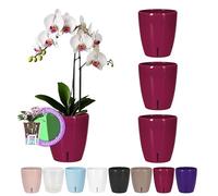 Santino Juego de 4 Macetas para Orquídeas Ø 12cm Macetas Autorriego con Sistema de Mecha e Indicador de Nivel de Agua para Interior (Ø 12cm - 1,3L - Morado)