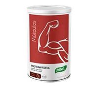 Santiveri - Dynamic Cacao Verdura Proteína - 455g