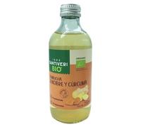 SANTIVERI - Kombucha Cúrcuma-Jenjibre BIO - Bebida fermentada de té verde, No pasteurizada, Sin conservantes - Solo 2kcal - Una bebida con una gran vida - Vegano - 250 ml