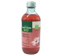 SANTIVERI - Kombucha Hibiscus BIO - Bebida fermentada de té verde, No pasteurizada, Sin conservantes - Solo 2kcal - Una bebida con una gran vida - Vegano - 250 ml