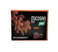 Santiveri - Micosan Energía Suplemento Alimenticio Cápsulas - 40 Cápsulas