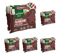 Santiveri - Tortitas de Arroz con Chocolate Negro y Topings de Arándano BIO - Sin Gluten - Con Fibra, Con Ingredientes Ecológicos - 3x37g (Paquete de 5)