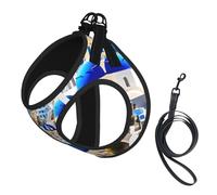 Santorini - Juego de arnés y correa para perro, diseño de isla griega, chaleco reflectante ajustable para cachorros pequeños, medianos y grandes y gatos