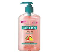 Sanytol Jabón de Manos Cocina // Precio, Comprar n/a 250 ml