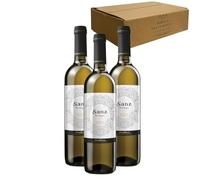 Sanz Verdejo - Ideal para Maridar con Pescados y Arroces - Pack 3 Botellas 75cl