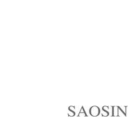 Saosin - Translating the Name [Vinilo]