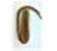 Saphir - Cordones (45 cm), color negro