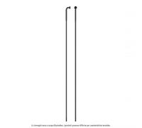 Sapim, Race INOX Testa Diritta 282Mm con Nipple 12Mm (Confezione 100 Pezzi), Rayos, Negro, U, Unisex-Adulto