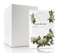 Saquito aromático para cajones y armarios, lote de 12 bolsas (Gardenia)