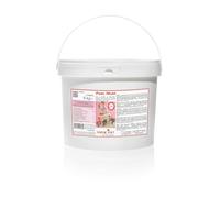 Saracino Pasta De Azúcar Model Blanco Para Moldear De 5 Kg Sin Gluten Made In Italy