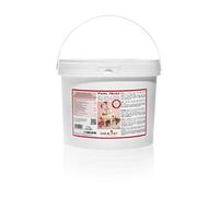 Saracino Pasta fondant Model Blanca Para modelar De 5 kg Sin gluten Made in Italy