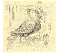 Sarah Belle Reid & Vinny Golia - Accidental Ornithology