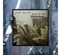 Sarah Davachi - Gave In Rest [VINYL] [Vinilo]