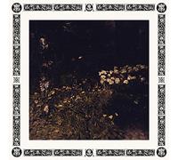 Sarah Davachi - Pale Bloom