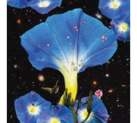Sarah Louise Nighttime Birds and Morning Stars (Vinyl) (Importación USA)