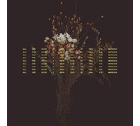 Sarah Macdougall - All The Hours I Have Left