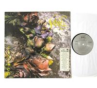 Sarband - Cantico [Vinilo]