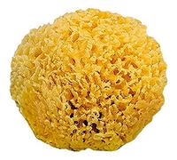 Saro Esponja Natural 0960