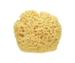 Saro Esponja Natural Premium