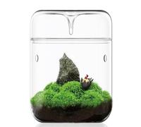 SARUFO Terrario pequeño de Cristal para Plantas de 4.7 x 7 Pulgadas, Maceta de Aire suculenta, Helecho, Musgo, micropaisaje, jarrón para el hogar, jardín, Oficina, decoración de Mesa, contenedor con