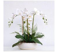 SaryEdge Flores Artificiales Mariposa Artificial Orquídea Adornos en Maceta Orquídea Grande Realista Modelo de Sala de Estar Hotel Adornos para Sala de exposición Decoración de Bodas A,3 Flowers
