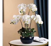 SaryEdge Flores Artificiales, orquídeas Artificiales, Maceta, Flores Artificiales Creativas, Flores de Phalaenopsis Artificiales para decoración de Bodas y Salas de Estar, realistas, b,White