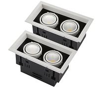 SaryEdge Paquete de 2 Luces LED empotrables para Techo 2 * 7W, 2 * 12W, 2 * 20W, 2 * 30W Downlight Giratorio de 2 Cabezales Downlight con cardán múltiple Focos empotrables Luz Tip,2 * 20w-5000k
