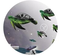 Sasha - How to Wear Raybans Well [Vinyl LP] [VINYL] [Vinilo]