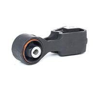 Soporte de motor SASIC 8061741