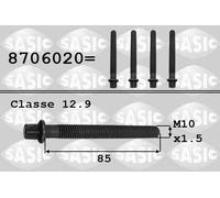 SASIC Tornillo de polea para BMW: Série 3, Série 5, X5 (Ref: 8706020)