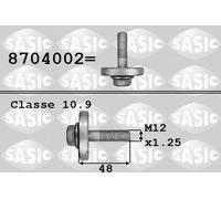 SASIC Tornillo de polea para DACIA: Duster, Logan, Sandero & RENAULT: Clio, Twingo, Kangoo, Espace, Laguna, Mégane, Mégane Classic (Ref: 8704002)