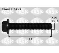 SASIC Tornillo de polea para FORD: S-Max, Galaxy, Mondeo, Focus, Connect, C-Max (Ref: 8706021)