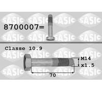 SASIC Tornillo de polea para PEUGEOT: 207, 106, 307, Expert, Partner, Bipper, 5008, 3008, 308, Ranch, Boxer, 301, 508, 205, 206, 4007 (Ref: 8700007)