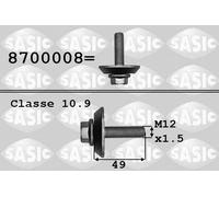 SASIC Tornillo de polea para PEUGEOT: 207, 208, Expert, 307, Bipper, Partner, 5008, 3008, 308, 4008, 107, 301, 508, 206, 407, 1007 (Ref: 8700008)