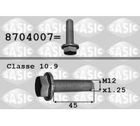 SASIC Tornillo de polea para RENAULT: Kangoo, Laguna, R19, Clio, Mégane, Express, Trafic, Extra, Rapid, Mégane Scénic, Thalia (Ref: 8704007)