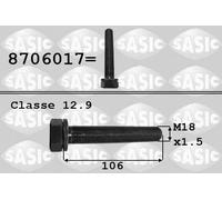SASIC Tornillo de polea para VOLKSWAGEN: LT, Transporter, Passat, Crafter & AUDI: A4, A6, A8 (Ref: 8706017)
