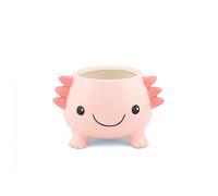 Sass & Belle Axolotl Maceta