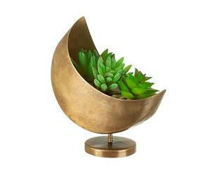 Sass & Belle Mini Celestial Moon Planter