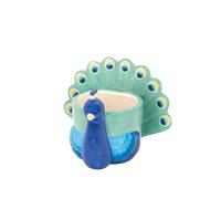 Sass & Belle Mini maceta de pavo real