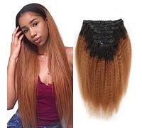 Sassina Extensiones de cabello humano con clip, estilo afro, lacio, para mujeres negras, gruesas de doble trama, color negro natural a 30, extensiones de 120 gramos por lote, TN30, 14 pulgadas