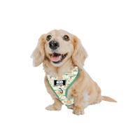 Sassy Woof Arnés ajustable para perro, Star Wars™ The Child, XS, malla transpirable, diseño sin tirones con dos anillos en D, diseño patentado, perfecto para perros pequeños y cachorros