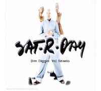 Sat R Day - (i'm Diggin Yo) Steelo