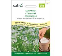 Sativa Discos de Cilantro Bio - 1 paq.